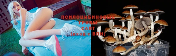 СК Алзамай