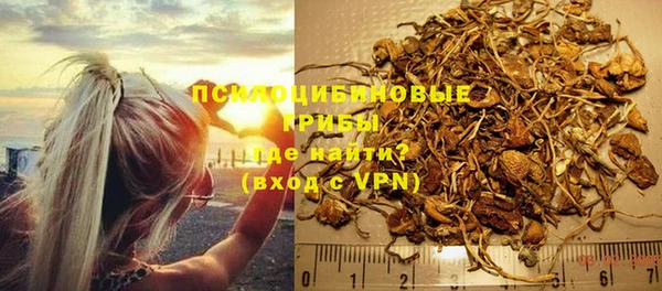 СК Алзамай