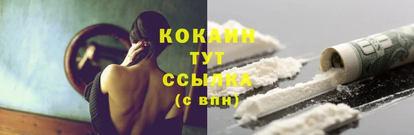 прущий лед Алексин