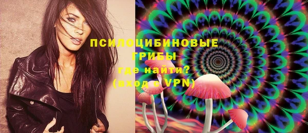 ГАЛЛЮЦИНОГЕННЫЕ ГРИБЫ Арсеньев