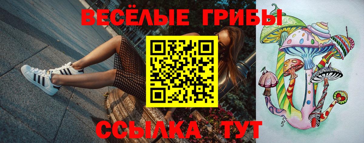 Миасс  Псилоцибиновые грибы мицелий  Вход с VPN 